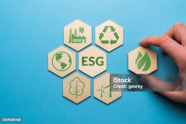 Esg Or Environmental Social Governance The Company Development Of A Nature Conservation Strategy Stock Photo - Download Image Now