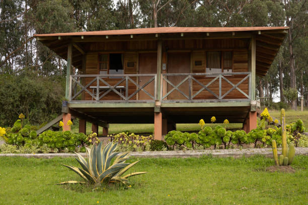 istock cabin with balcony, rustic style with garden and grass around it, background with trees in the daytime, relaxed country lifestyle, architecture and nature 1359588599