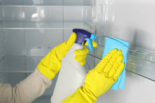 istock A woman washes the refrigerator with disinfectants close-up. 1359588631