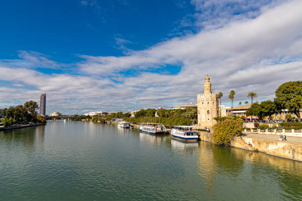 torre del oro (torre d'oro) sul fiume guadalquivir, siviglia, spagna. - national landmark architectural styles sevilla seville foto e immagini stock