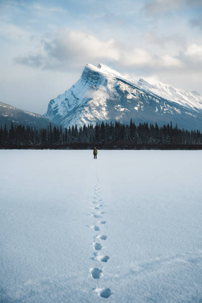 Walking to Oblivion A man walks on a frozen snow covered lake towards a snow capped mountain in Banff, Alberta alberta photos stock pictures, royalty-free photos & images