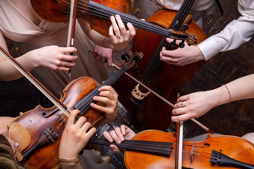Cuarteto de cuerdas (violines, violonchelo, alt (viola)), manos, vista desde arriba photo