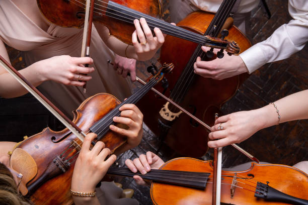 Cuarteto de cuerdas (violines, violonchelo, alt (viola)), manos, vista desde arriba - foto de stock