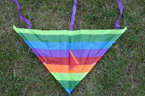 istock multi-colored kite lies on the grass 1359596769