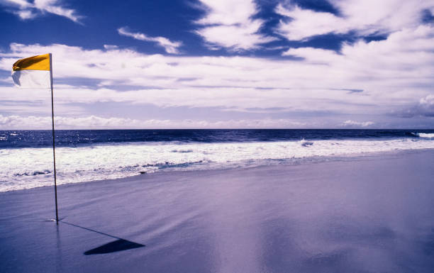 istock View of the famous Bondi Beach 1359598596