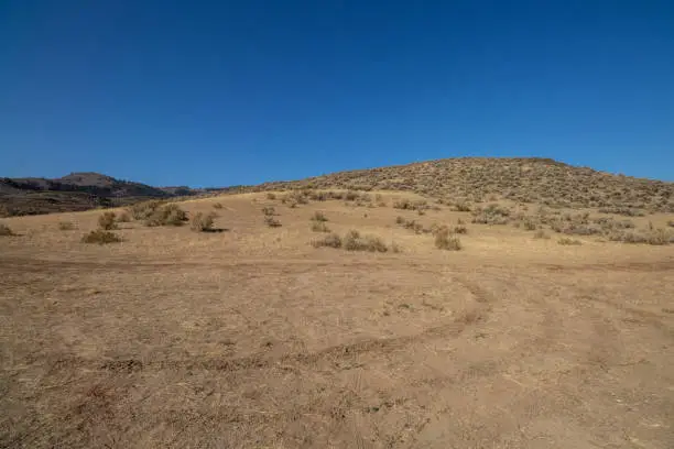 Photo of off road tracks in the desert