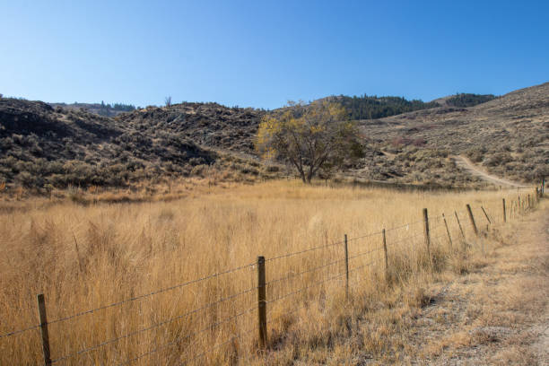 istock protected area in Osoyoos West Bench wildlife habitat 1359598972
