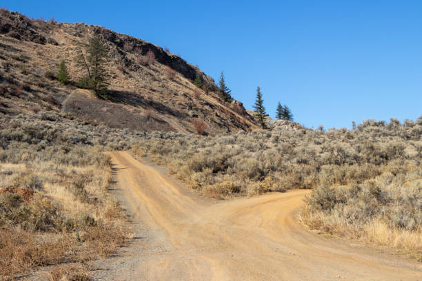 istock Fork in the road in the mountains 1359599797