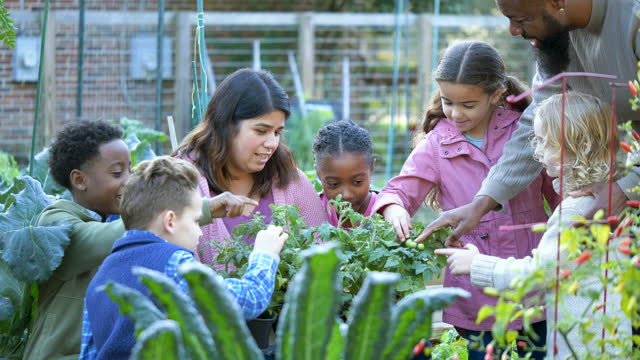 Children learning about plants at community garden