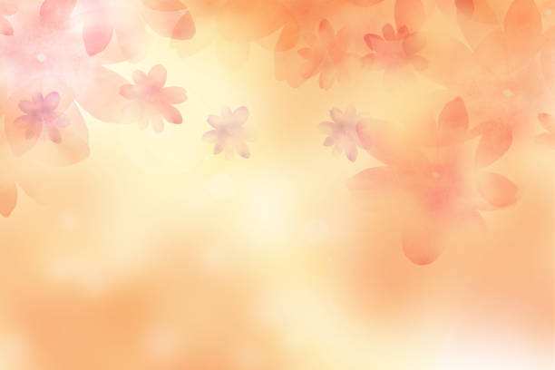 istock Watercolor pale pink flower decoration with background 1359612372