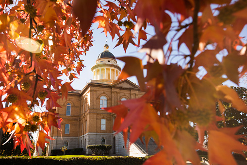 Selective focus view of liquid amber leaves framing the historic courthouse of Auburn, California, USA.