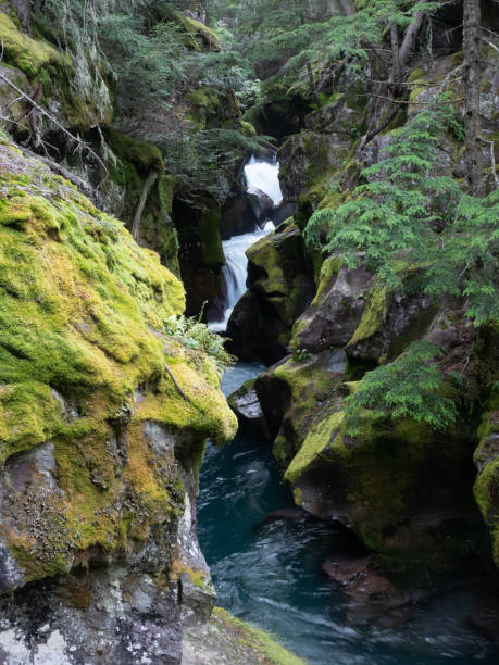 aguamarina de avalanche creek con rocas musgosas en el parque nacional glacier, montana - montana water landscape nature fotografías e imágenes de stock