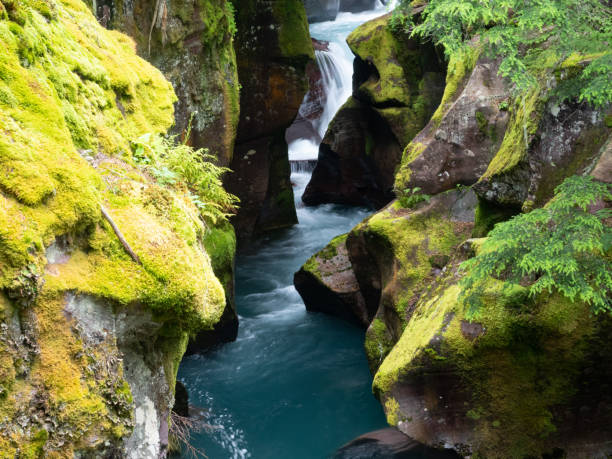 agua aguamarina en la base de avalanche falls con rocas musgosas en el parque nacional glacier, montana - montana water landscape nature fotografías e imágenes de stock