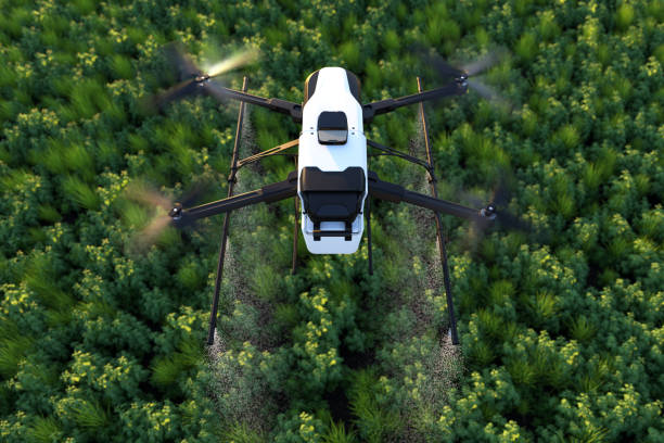 istock Drone spraying fertilizer on vegetable green plants, Agriculture technology, Farm automation. 1359620838