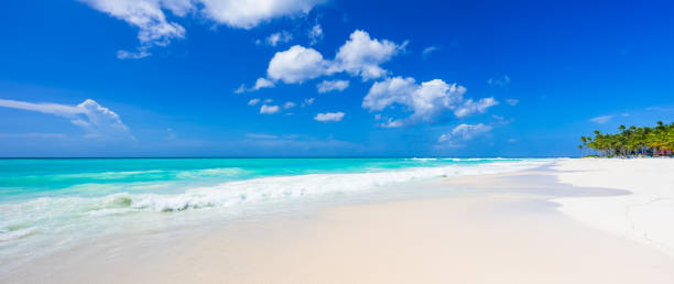 istock Caribbean Sea in Dominican Republic 1359622913