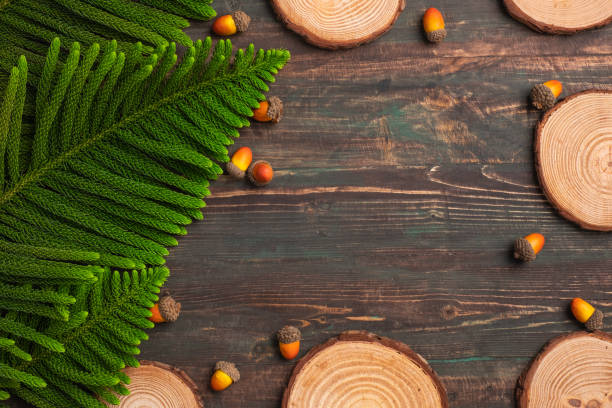 istock Christmas pine tree and pine cone on woooden table background 1359624258