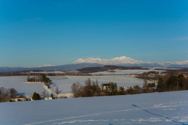 istock Snow field with snow-melting agent 1359625134