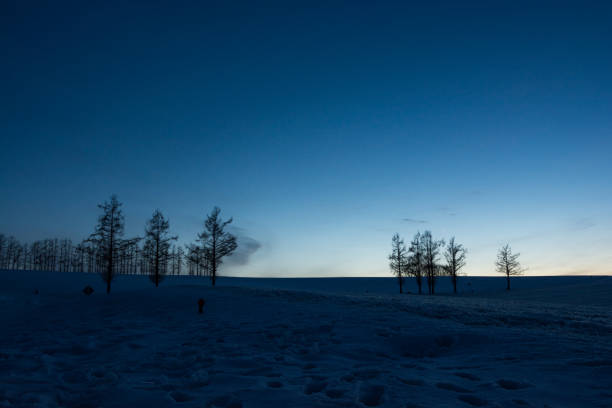 Clear winter evening sky and crescent moon