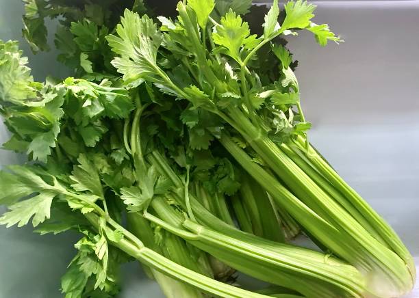 Bright Green Organic Celery Bunches stock photo