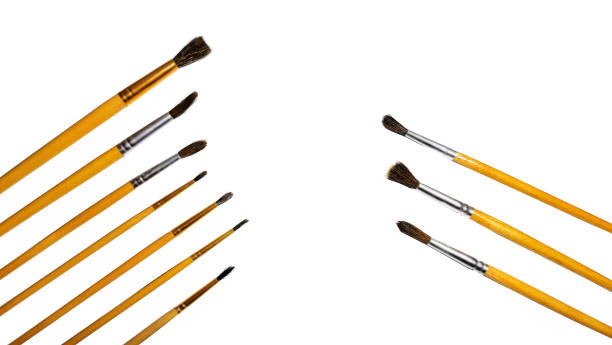 istock A set of paintbrushes isolated on a white background 1359626875