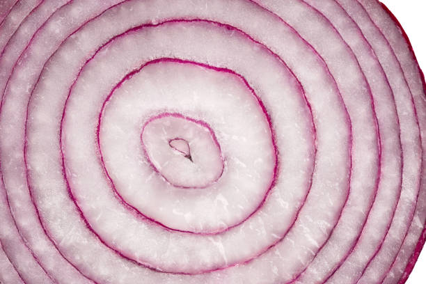 istock cross-section of red onion, natural background, texture 1359634035
