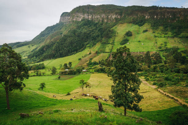 Green valley and rural farm against the backdrop of the Andes Mountains in Colombia