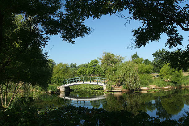 The famous lily pond of the painter Monet