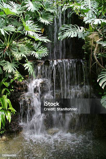 Rain Forest Water Falls 2 Krohn Conservatory Cincinnati Ohio Stock Photo - Download Image Now