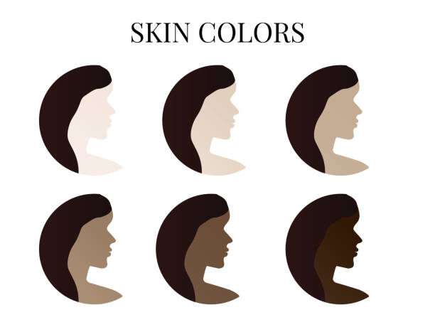 Skin Color from Lightest to Darkest Colors with a Woman Illustration Skin Color from Lightest to Darkest Colors with a Woman Illustration skin tone chart stock illustrations