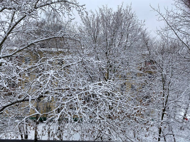 istock winter in city yard at cloudy day 1359643613