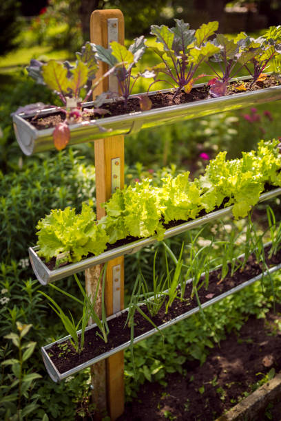 ideas creativas de jardín cama vegetal vertical - foto de stock