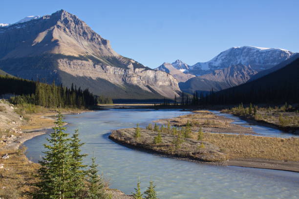 istock Landscape at Icefields Parkway in Jasper National Park,Alberta,Canada,North America 1359652774