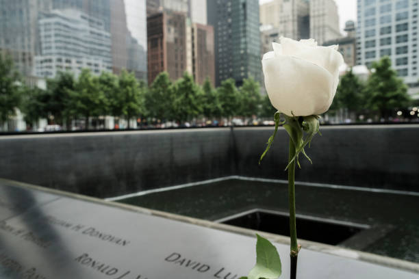 rose new york - world trade center september 11 new york city manhattan imagens e fotografias de stock