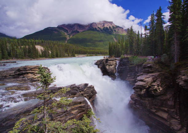istock Athabasca Falls in Jasper National Park,Alberta,Canada,North America 1359654725