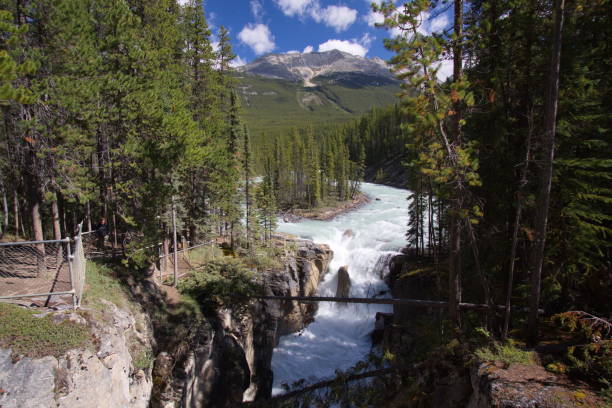 istock Sunwapta Falls in Jasper National Park,Alberta,Canada,North America 1359654813