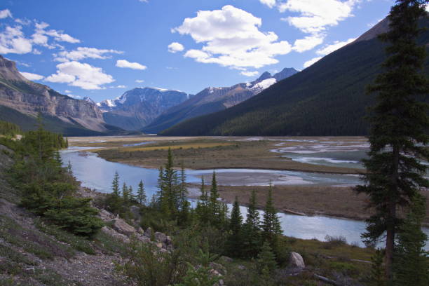 istock Landscape at Icefields Parkway in Jasper National Park,Alberta,Canada,North America 1359655351