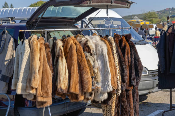 Fur Coats stock photo