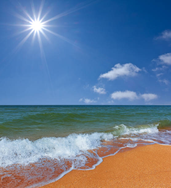 istock hot summer sea coast 1359660253