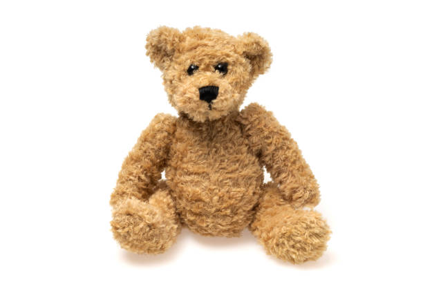 Cute teddy bear on white background stock photo