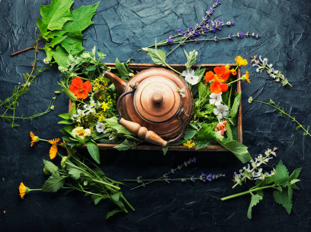 istock Healing herbs in herbal medicine 1359660527