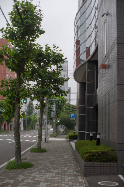 istock Scenery of the city 1359661378