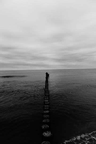 istock the wooden breakwater 1359661498