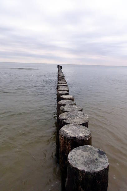 Ahrenshoop beach in the baltic sea