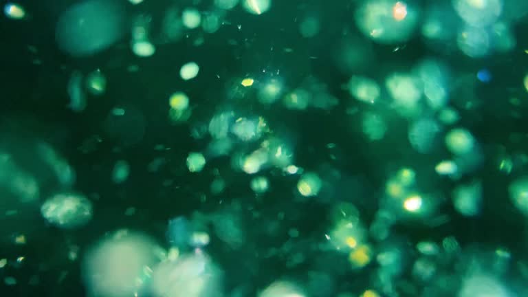 green Abstract motion bokeh background shining particles.