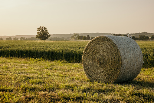 Beautiful summer rural landscape with bales of hay, green hills and blue sky with clouds