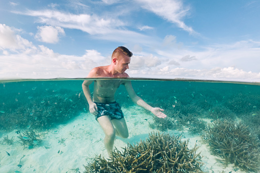 Man admiring corals under water surface. Tourist watching beautiful sea life in Maldives.