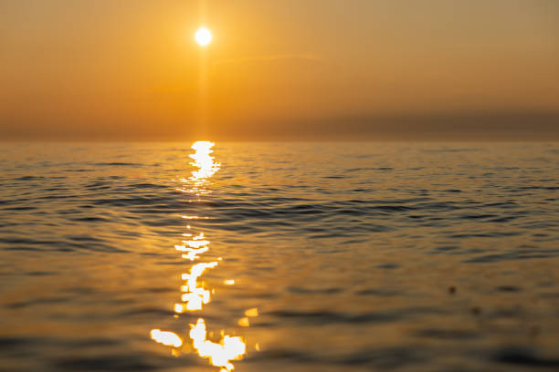 istock Beautiful waterfront sunset with light beam reflection on the sea surface,piran Slovenia 1359672795
