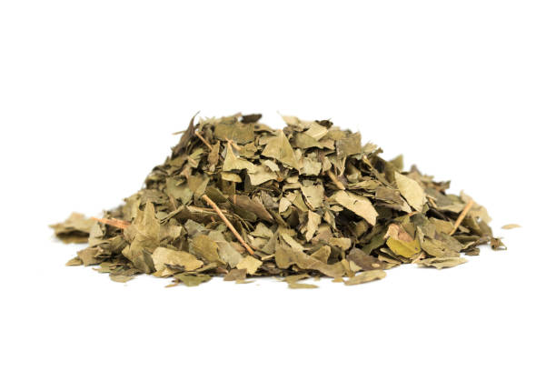 istock dried curry leaves - natural herb 1359673590