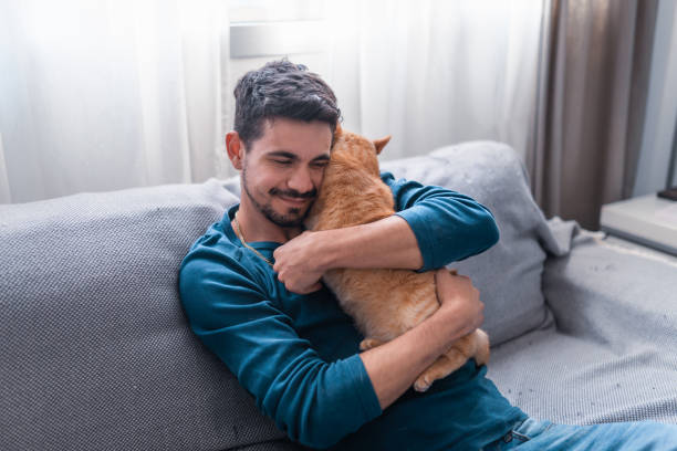istock young man sitting on a gray sofa lovingly hugs a brown tabby cat 1359675574