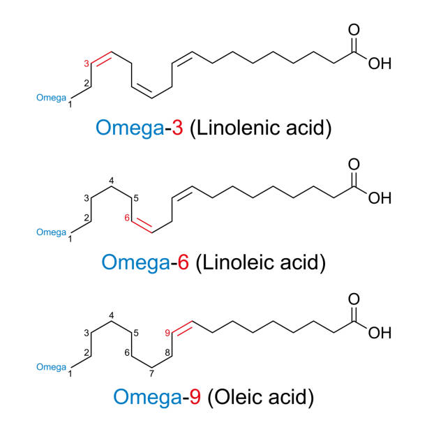 kwasy tłuszczowe omega-n, wzory chemiczne i struktury szkieletowe - fatty acid stock illustrations